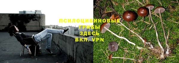 соль курить ск Лагань
