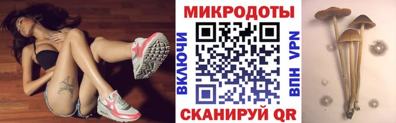 мега ссылки  Чкаловск  Псилоцибиновые грибы прущие грибы 